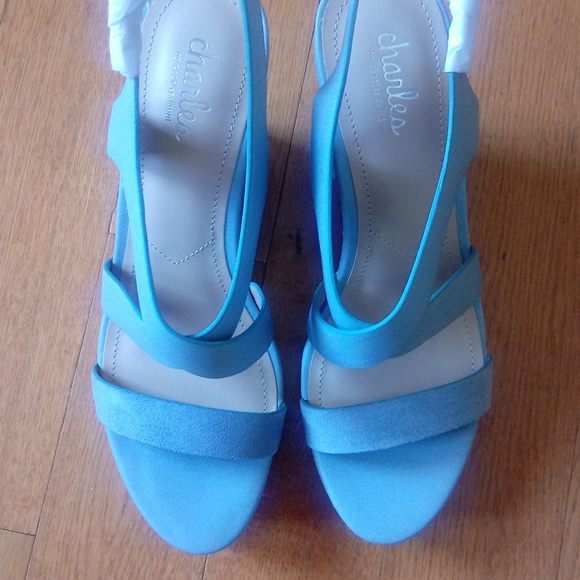 Charles By Charles David Shoes - ❇ NIB ❇ Charles by Charles David Muted Blue Layne Espadrille Wedges, Size 8.5